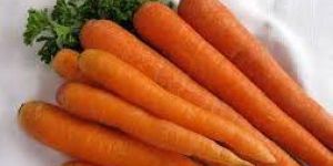 Fresh Carrot