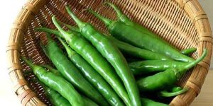 Fresh Green Chilli
