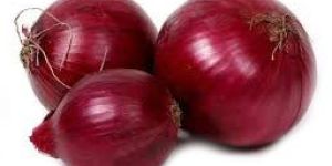 Fresh Red Onion