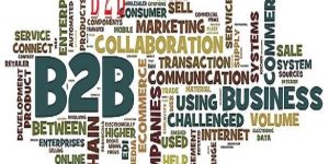 b2b Web Solution Services