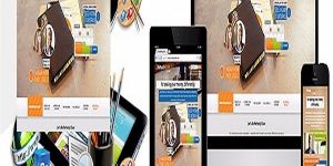 Cms Development Service