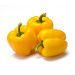 Yellow Capsicum