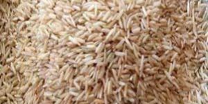 Pusa Brown Basmati Rice