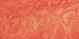 Coated Print Fancy Fabric