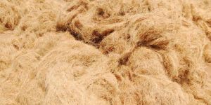 Coir Fibre
