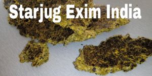 Cotton Seed Oil Cake