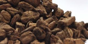 Roasted Chicory Cubes