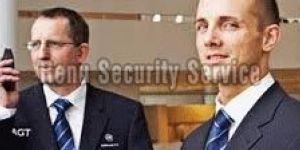 Investigation Services