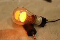 Neon Lamps