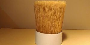 Chinese Bristles