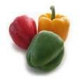 Fresh Capsicum