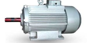 Dual Speed Motor
