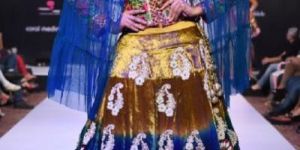 Embroidered Velvet Lehenga Choli
