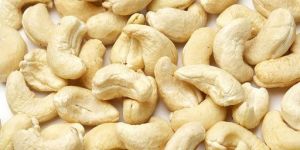 International Quality Cashew Nuts