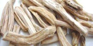 White Shatavari Roots