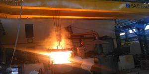 Customized Cranes
