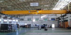 Double Girder Cranes