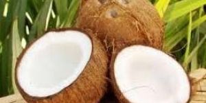 Fresh Coconut