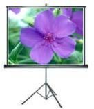Tripod Projection Screen