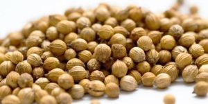 Coriander Seeds