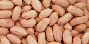 Peanut Kernels