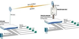 Wireless Point to Point Bridge Solution Services