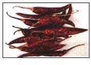 Red Chilli