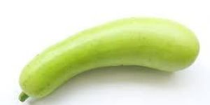 Fresh Bottle Gourd