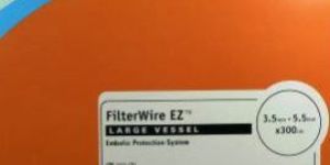FILTERWIRE EZ Embolic Protection System