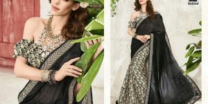 Pavitra Vol 14 by Sahiba  Georgette Silk