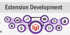 Magento Extension Development Services