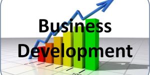 Business Development Services