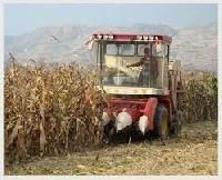 Maize Combine Harvester
