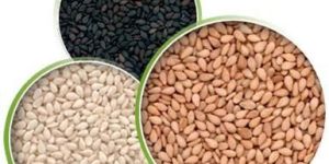 Sesame Seeds