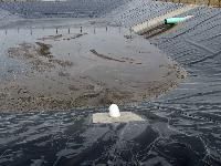 Liquid Manure