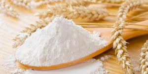 Refined Wheat Flour