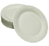Paper Disposable Meal Plates