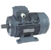 Three Phase AC Induction Motor