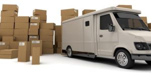 Vachicle Transportation Service