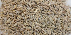 Cumin Seeds