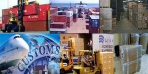 Custom Clearing Services