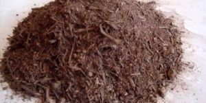 Organic Bio Fertilizers