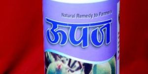 Upaj (Chana Special)