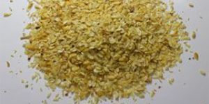Maize Germ
