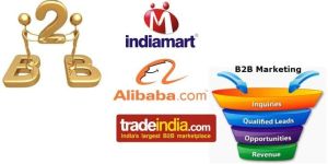 B2B Portal Updation Services