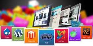 Web Development Services