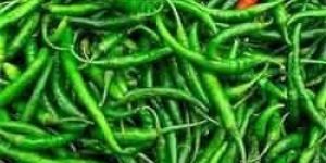 Fresh Green Chilli