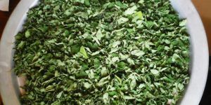 Moringa Dried Leaf