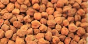 Black Chickpeas