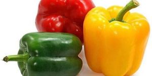 Fresh Capsicum